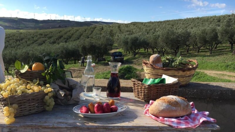 Oil and Food Tasting in the Province of Agrigento - Agronomist-Led Olive Grove Tour