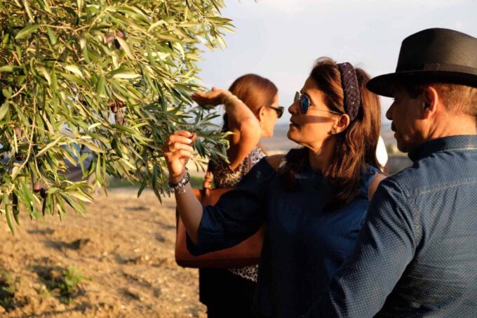 Oil and Food Tasting in the Province of Agrigento - Sicilian Dish Tastings