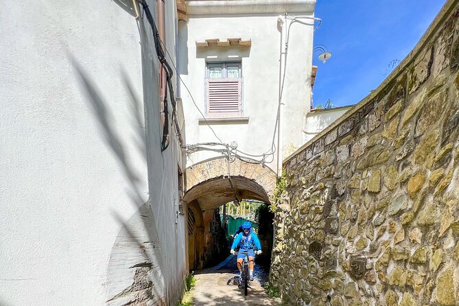 Oil and Lemon - Sorrento E-Bike Tour Experience - Experiences and Highlights