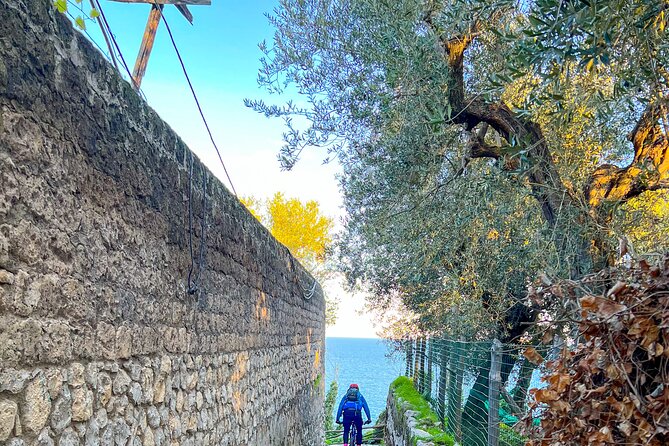Oil and Lemon - Sorrento E-Bike Tour Experience - Safety and Comfort