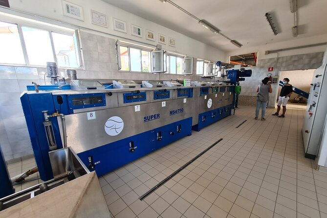 Oil Mill Private Tour With Guided Oil Tasting - Tour Inclusions