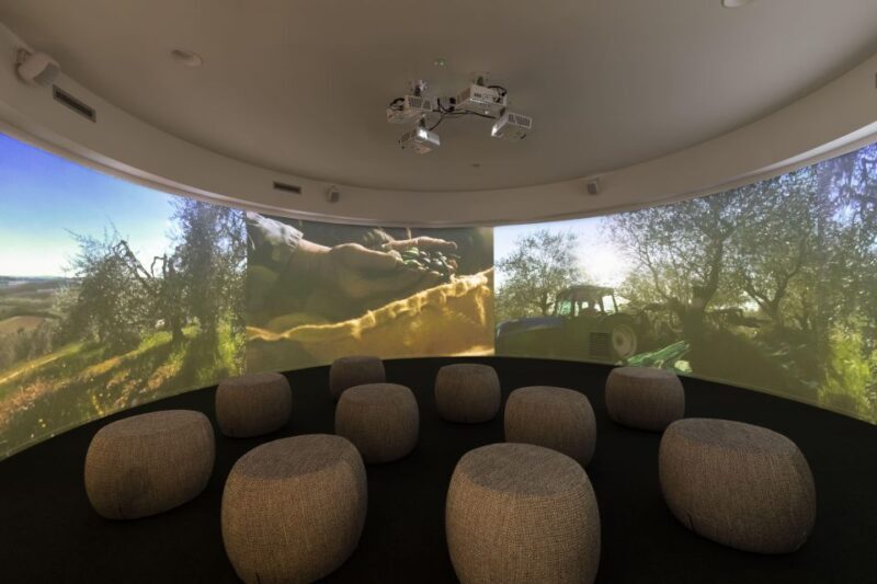 Oil Museum and Mill in Tuscany: Interactive Tour and Tasting - Explore the Museums Ten-Stage Itinerary