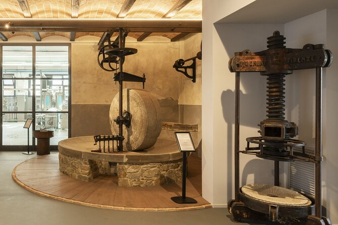 Oil Museum and Oil Mill in Tuscany: Tour and Tasting - Olive Oil Production Process