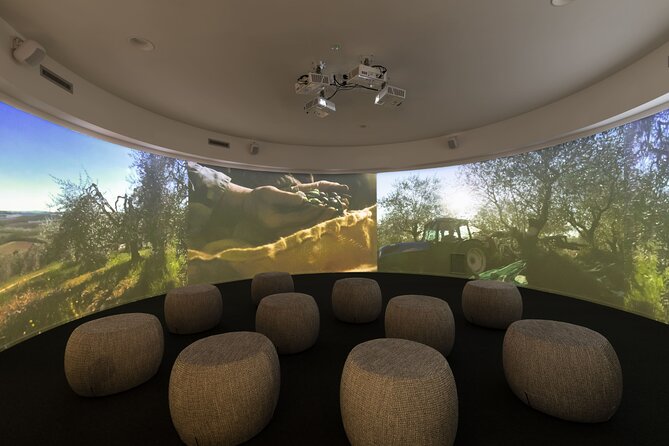 Oil Museum and Oil Mill in Tuscany: Tour and Tasting - Tasting Session