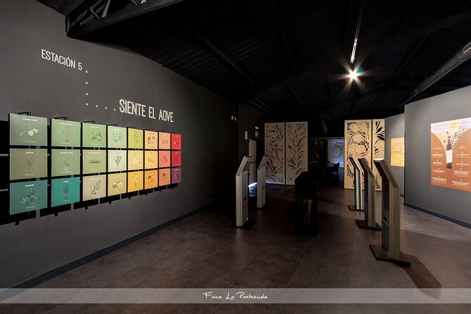 Oil Tourism at Finca La Pontezuela - Benefits of the Oil Tasting