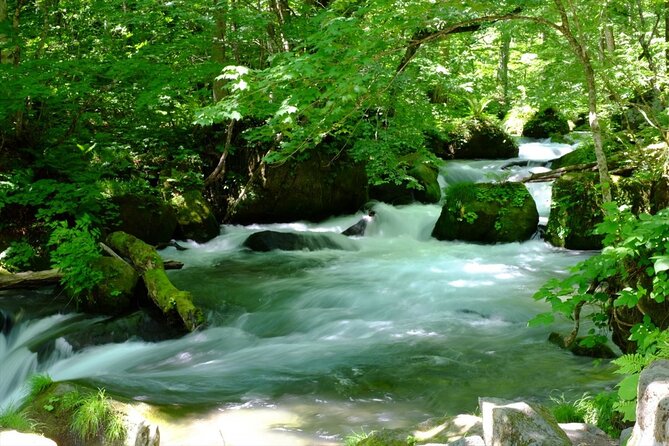 Oirase Gorge and Lake Towada Day Hike With Government-Licensed Guide - Transportation and Tour Type