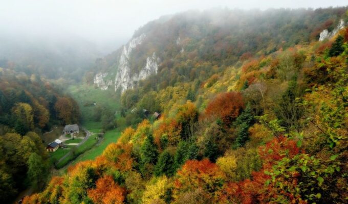 Ojcow National Park: Full-Day Trip From Krakow - Customer Ratings and Feedback