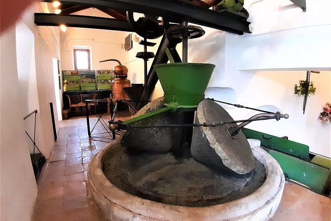 Ojen Private Walking Tour by Tours in Malaga - Praise for the Tour Guide