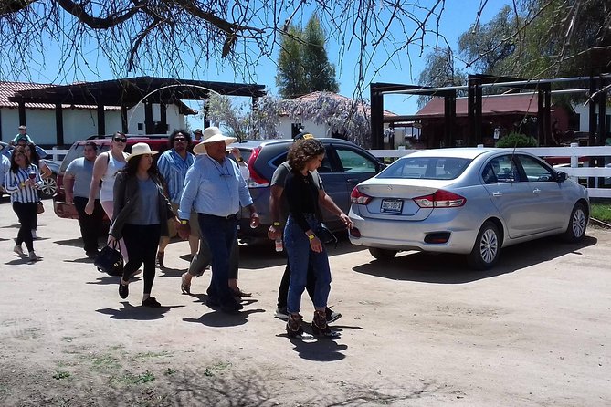 Ojos Negros Valley Wine and Cheese Route Tour in Baja California - Traveler Reviews and Feedback