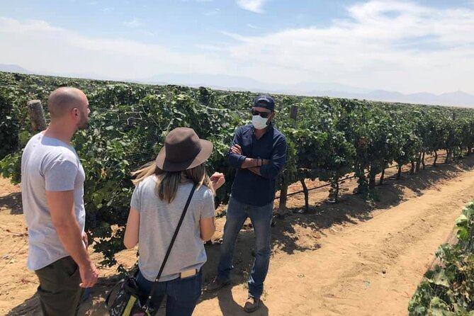 Ojos Negros Valley Wine and Cheese Route Tour in Baja California - Cheesemaking at La Cava De Marcelo