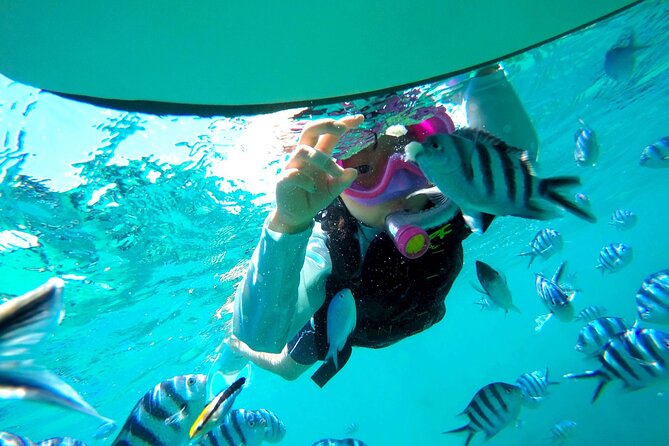 OK From 2 Years Old! / Sea Picnic & Snorkel - Coin Locker Information