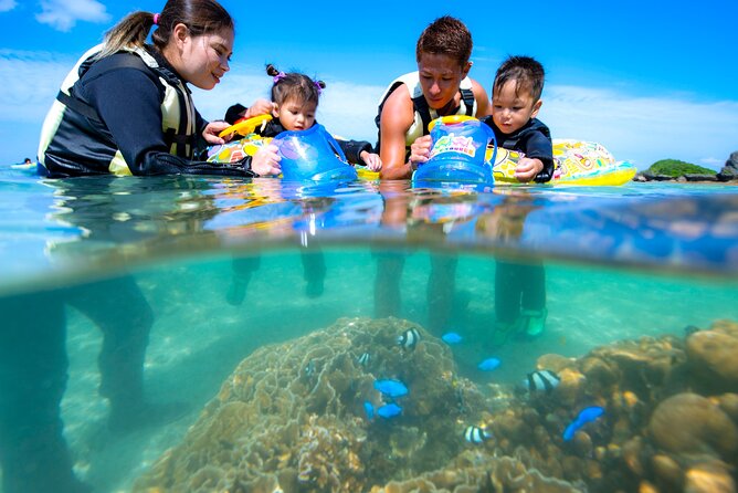 OK From 2 Years Old! / Sea Picnic & Snorkel - End Point of the Activity