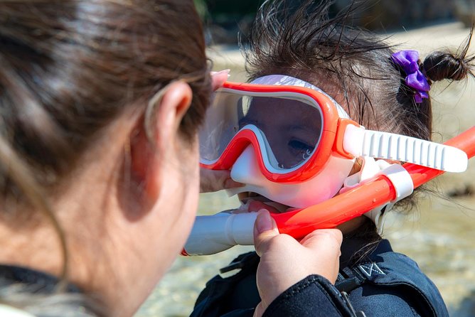 OK From 2 Years Old! / Sea Picnic & Snorkel - Age Restrictions and Accompaniment