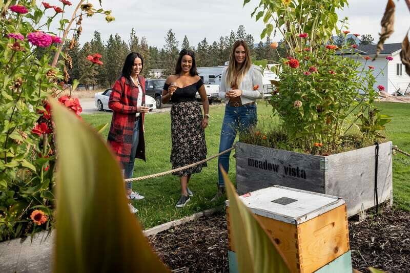 Okanagan Bee Tour, Wine Tasting and Lunch at Kelowna Winery - Key Points