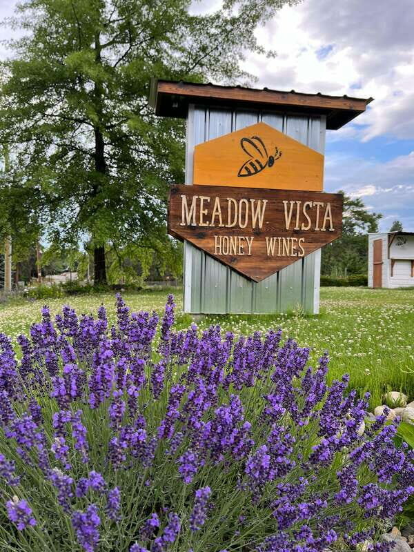 Okanagan Bee Tour, Wine Tasting and Lunch at Kelowna Winery - Post-Tour Activities and Relaxation