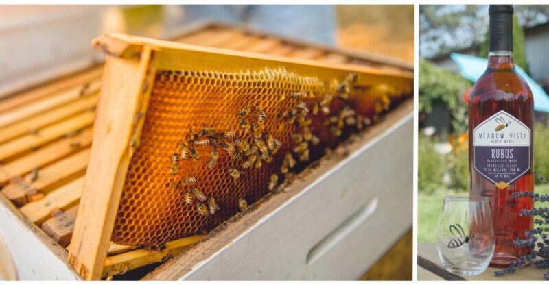 Okanagan Bee Tour, Wine Tasting and Lunch at Kelowna Winery - Important Notes