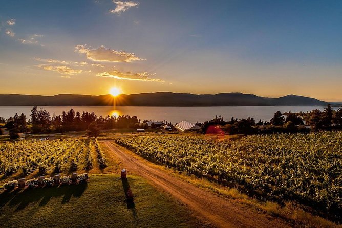 Okanagan Deluxe Wine Toasting Tour - Connecting With Winemakers