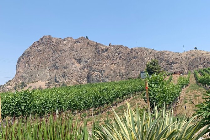 Okanagan Falls Half Day Sip Disturber Wine Shared Tour - Inclusions