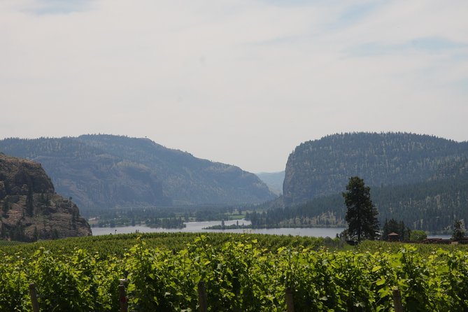 Okanagan Falls Private Wine Tour - Full Day - Explore Okanagan Falls