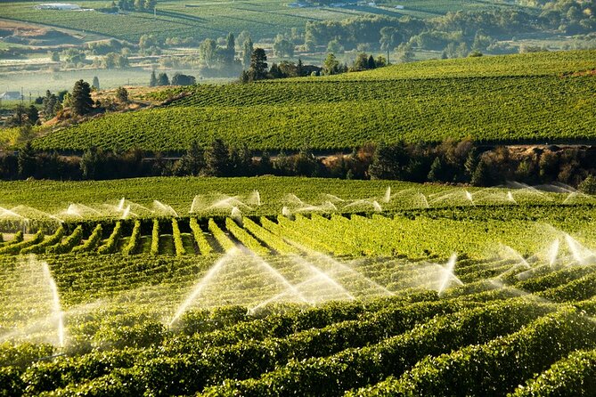 Okanagan Falls Wine Experience From Vernon - 4 Wineries - Comfortable Transportation and Hotel Pickup