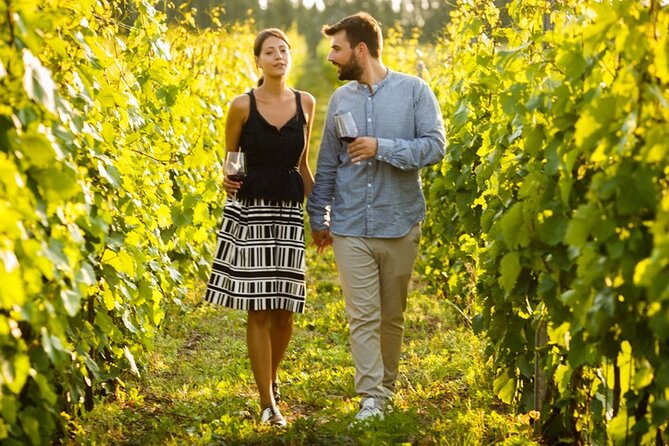 Okanagan Falls Wine Experience From Vernon - 4 Wineries - Cancellation Policy