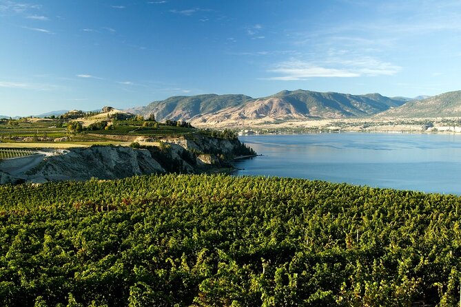 Okanagan Falls Wine Experience From Vernon - 4 Wineries - Booking Confirmation and Inquiries