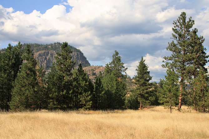 Okanagan Valley Discovery Tour - Rare Habitats and Diverse Wildlife