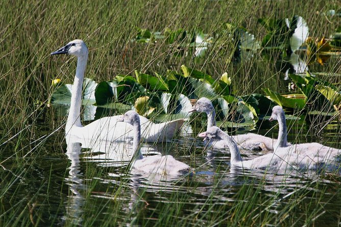 Okanagan Valley Discovery Tour - Highest Species Diversity in Canada