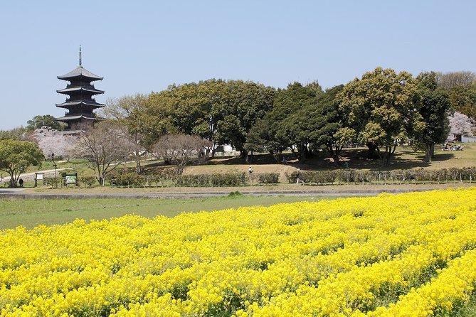 Okayama Custom Full Day Tour - Customization Options