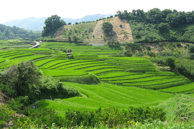 Okayama Full-Day Private Trip With Government-Licensed Guide - Accessibility Considerations