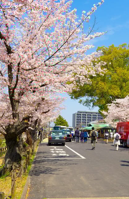 Okayama Kurashiki Tour: Experience Canal Boat Ride - Highlights and Experiences