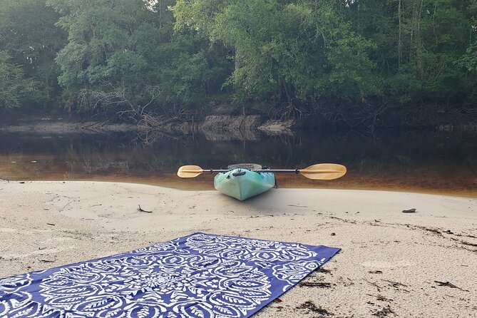 Okefenokee Swamp: Guided Kayak Tour With a Local Naturalist - Key Points