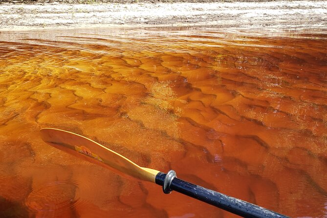 Okefenokee Swamp: Guided Kayak Tour With a Local Naturalist - Learning About the Swamps History