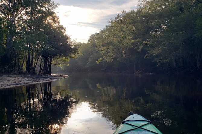 Okefenokee Swamp: Guided Kayak Tour With a Local Naturalist - Reflection and Memories of the Tour