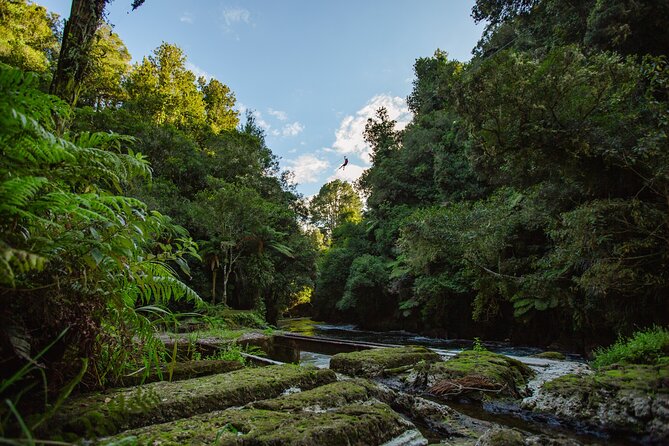 Okere Falls Zipline Experience - Partnership With NgāTi Hinerangi