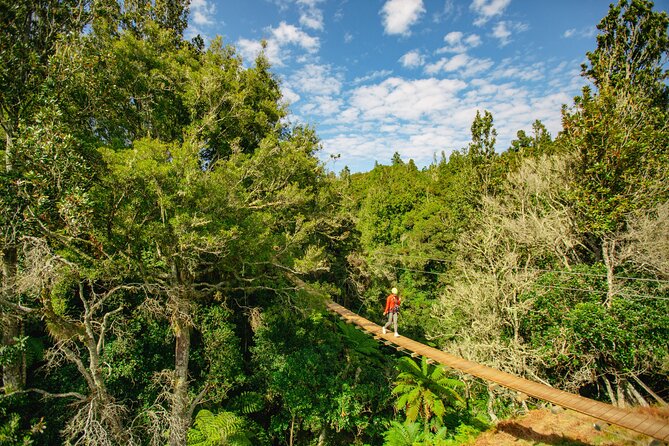 Okere Falls Zipline Experience - Ziplines, Swing Bridges, and Boardwalks