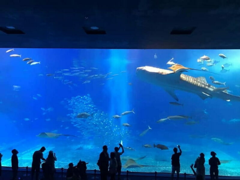 Okinawa: Aquarium, Kouri Island, & American Village Bus Tour - A Closer Look at the Tour Itinerary