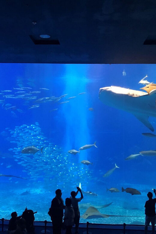 Okinawa: Aquarium, Kouri Island, & American Village Bus Tour - FAQ