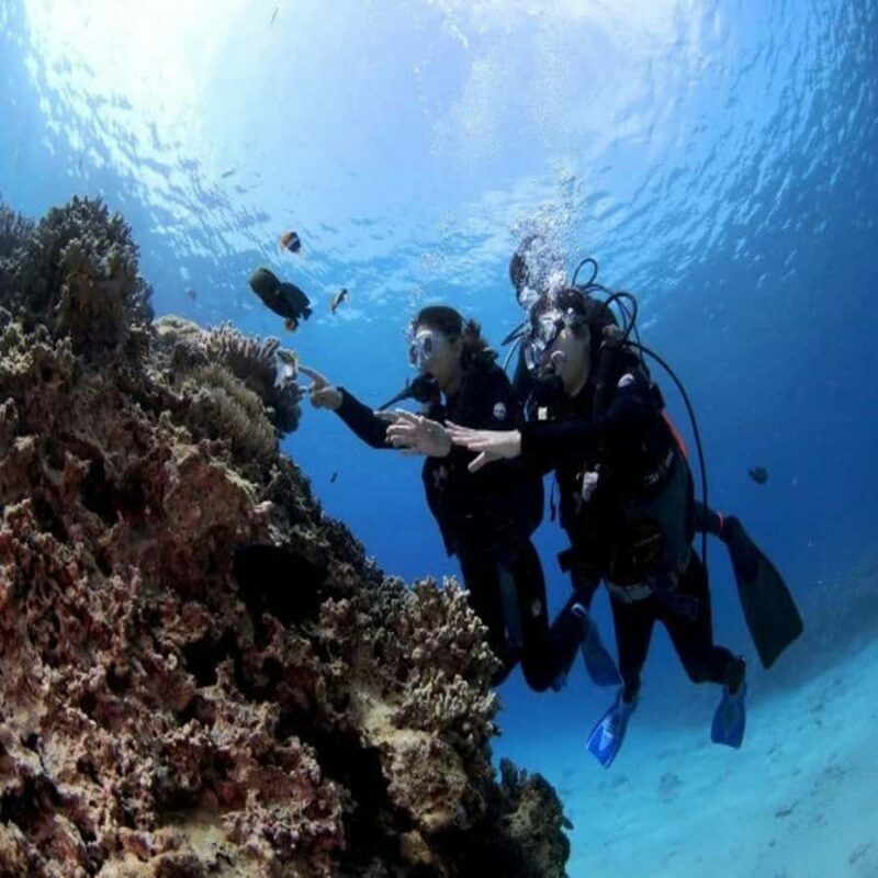 Okinawa: Blue Cave Diving Tour with GoPro Photos - What’s Included and What to Prepare