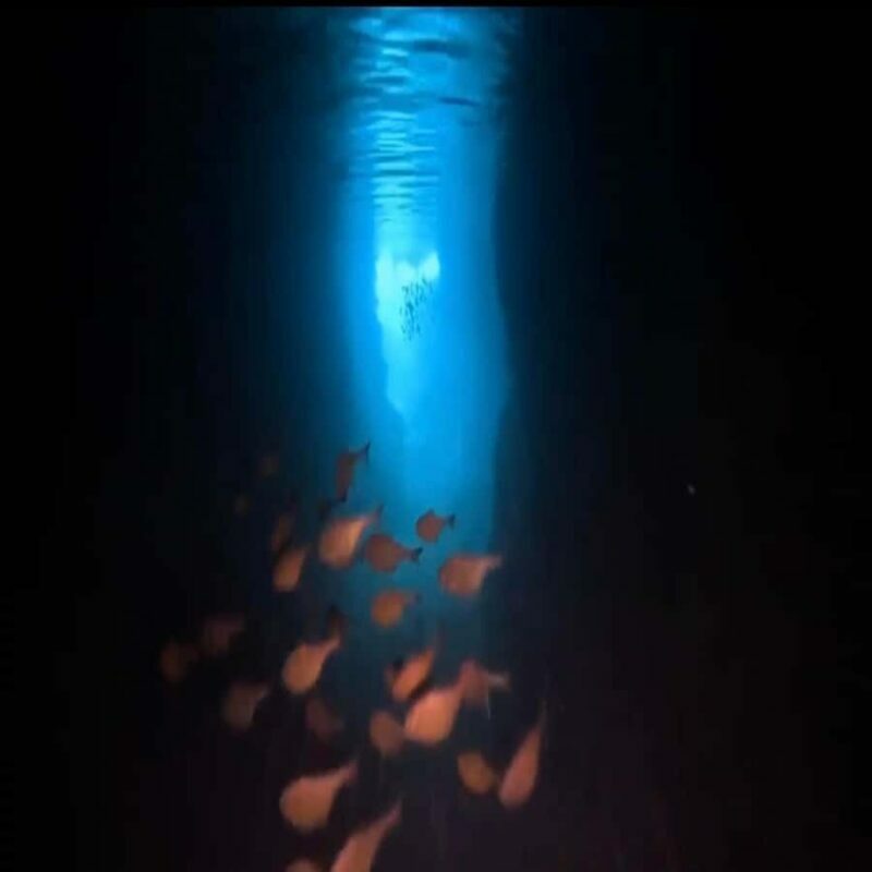 Okinawa: Blue Cave Diving Tour with GoPro Photos - FAQ