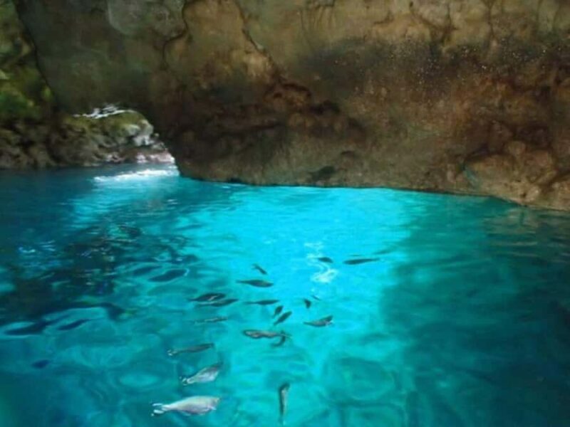 Okinawa: Blue Cave Freediving Tour with GoPro Photos - Key Points