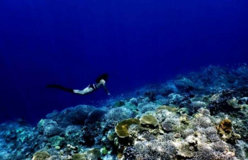 Okinawa: Blue Cave Freediving Tour with GoPro Photos - What to Expect from the Okinawa Blue Cave Freediving Tour