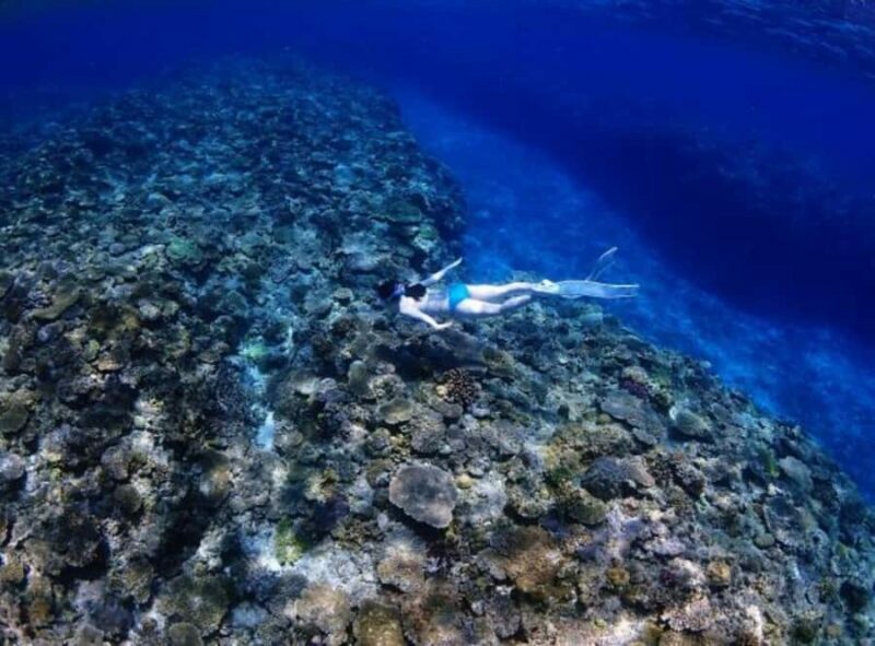 Okinawa: Blue Cave Freediving Tour with GoPro Photos - The Experience from the Participants Perspective