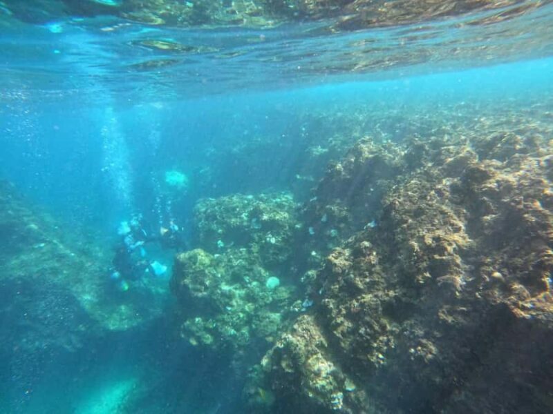 Okinawa: Blue Cave Private Snorkeling Tour with Guide - Frequently Asked Questions