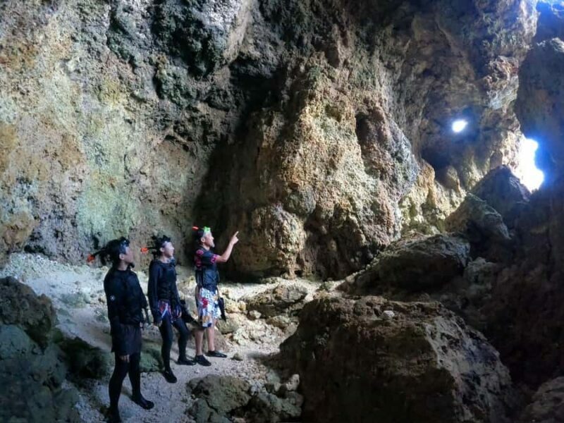 Okinawa: Blue Cave Private Snorkeling Tour with Guide - The Sum Up