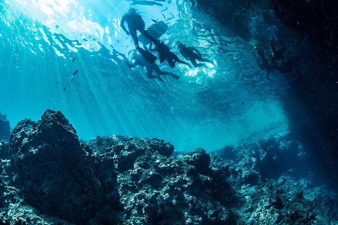 [Okinawa Blue Cave] Snorkeling and Easy Boat Holding! Private System Very Satisfied With the Beautiful Facilities of the Shop (With Photo and Video Shooting Service) - Photo and Video Shooting Service