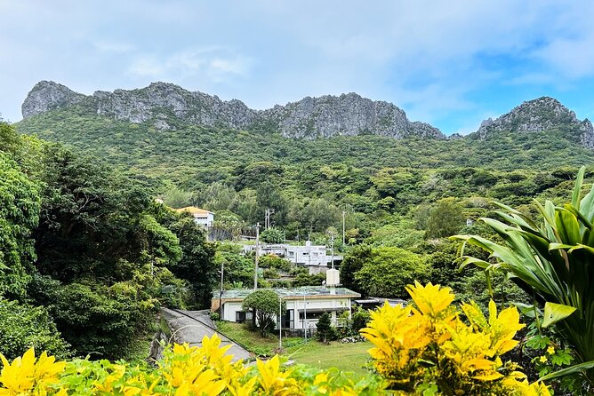 Okinawa Blue Zone 4 Days Discovery Adventure in UNESCO Site - Reflections on the Transformative Journey