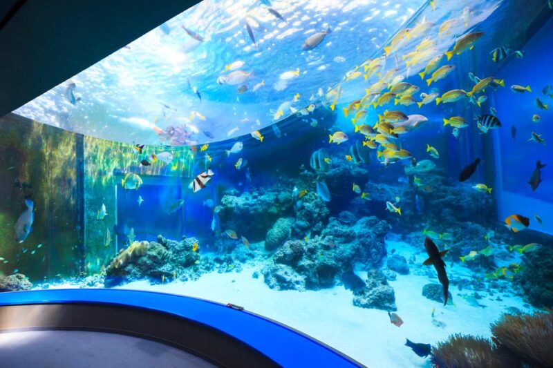 Okinawa: Bus Tour to Churaumi Aquarium With Sightseeing - Visiting Churaumi Aquarium