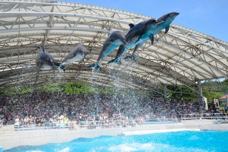 Okinawa: Bus Tour to Churaumi Aquarium With Sightseeing - Cape Manzamo