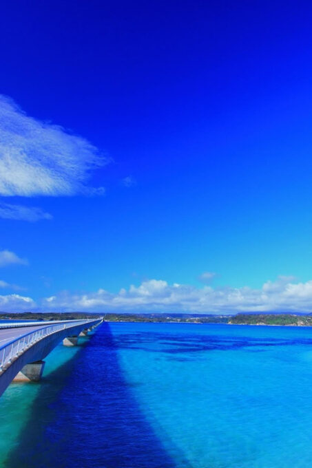 Okinawa: Bus Tour to Churaumi Aquarium With Sightseeing - Included Amenities